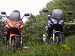 cliquez ici pour voir l'image (P5050048.JPG)