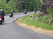 cliquez ici pour voir l'image (P5050054.JPG)
