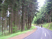 cliquez ici pour voir l'image (P5050063.JPG)