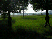 cliquez ici pour voir l'image (P5060089.JPG)